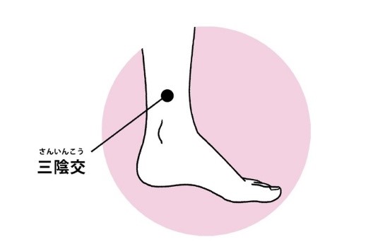 ●三陰交(さんいんこう)