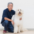 苦労した分だけ夢に近づく！俳優犬トレーナー・宮忠臣さんにインタビュー