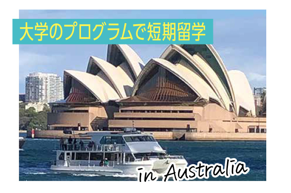 先輩リアルボイス:どこに行った?
