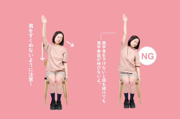 手を上げたまま、肩甲骨を下げる。 肩甲骨を下げないと頭を傾けても肩甲挙筋が伸びないよ。 そして上げた手と反対側にゆっくり頭を傾けう。 頭の重みで首が伸ばされるのを感じていこう。
