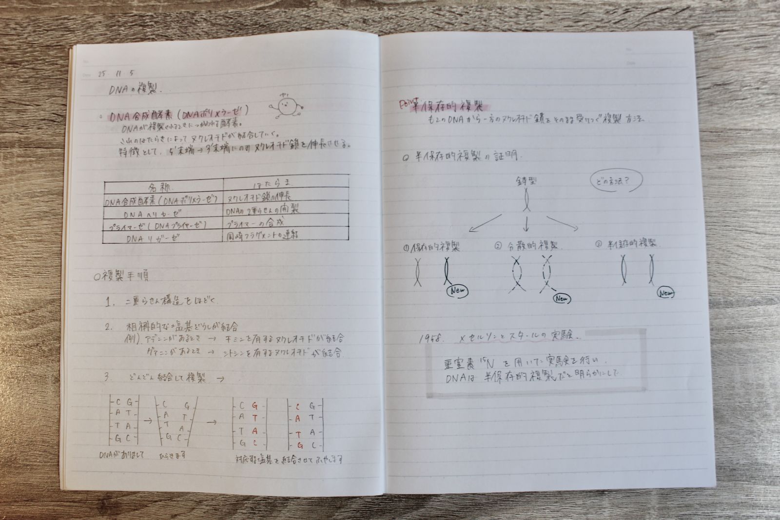 きれいにまとめられた授業用の理科のノート