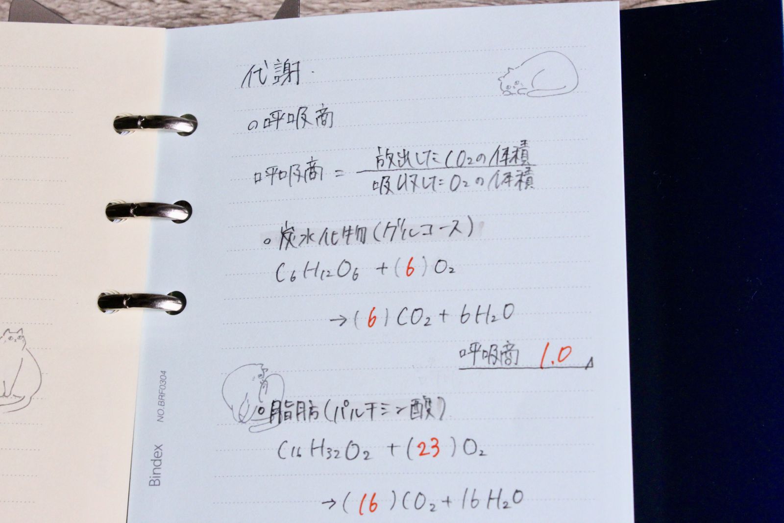 まぎらわしい箇所を覚えるためにまとめた理科の暗記用ノート