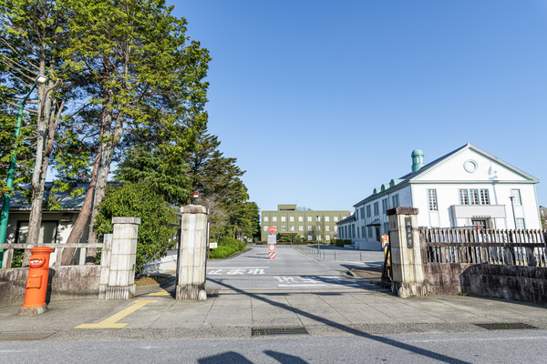 データサイエンス学部・学科がいま、増えている